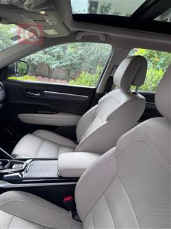 رينو كوليوس